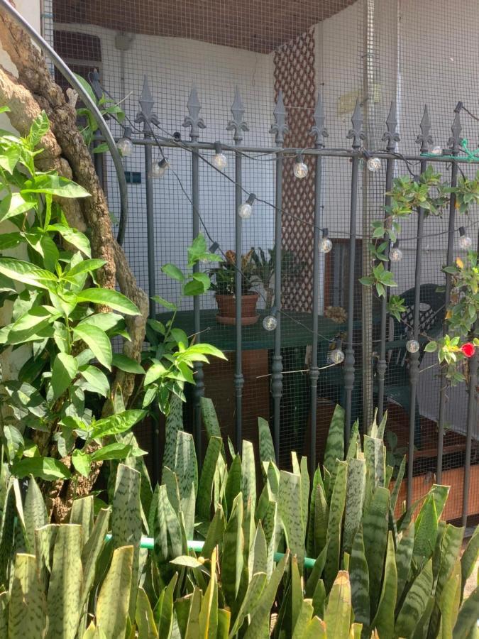 Appartement Cortijo De La Fuente à Albunol Extérieur photo
